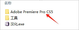 Adobe Premiere Pro CS5中文版插图1