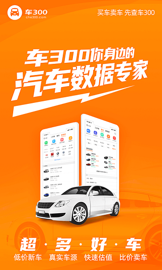 车300二手车ios版插图2