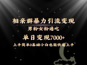 全网首发相亲群暴力引流男粉女粉通吃变现玩法,单日变现7000+保姆教学1.0-寒山客