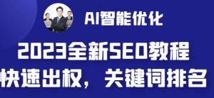 2023最新网站AI智能优化SEO教程,简单快速出权重,AI自动写文章+AI绘画配图-寒山客