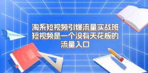淘系短视频引爆流量实战班,短视频是一个没有天花板的流量入口-寒山客