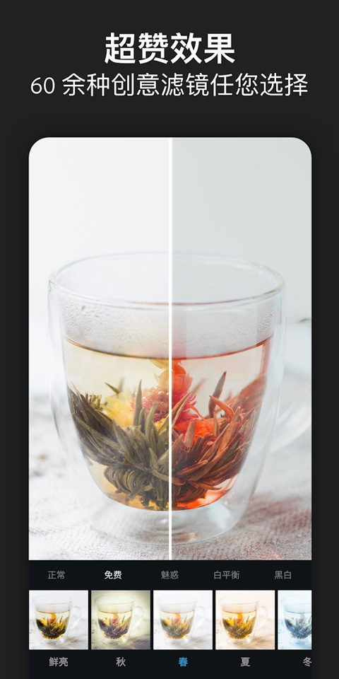 photoshop express苹果版插图3 photoshop express苹果版插图3