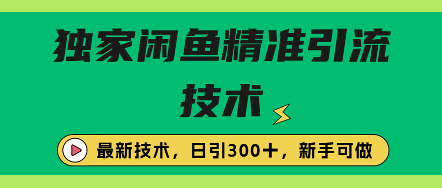 独家闲鱼引流技术，日引300＋实战玩法-寒山客