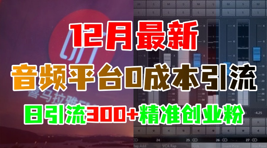 12月最新：音频平台0成本引流，日引300+精准创业粉-寒山客