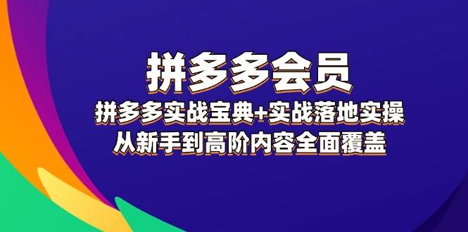 拼多多 会员，拼多多实战宝典+实战落地实操，从新手到高阶内容全面覆盖-寒山客