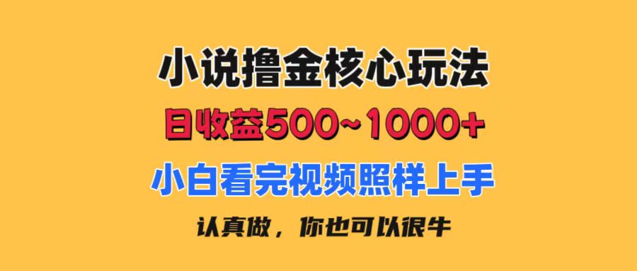 小说撸金核心玩法，日收益500-1000+，小白看完照样上手，0成本有手就行-寒山客