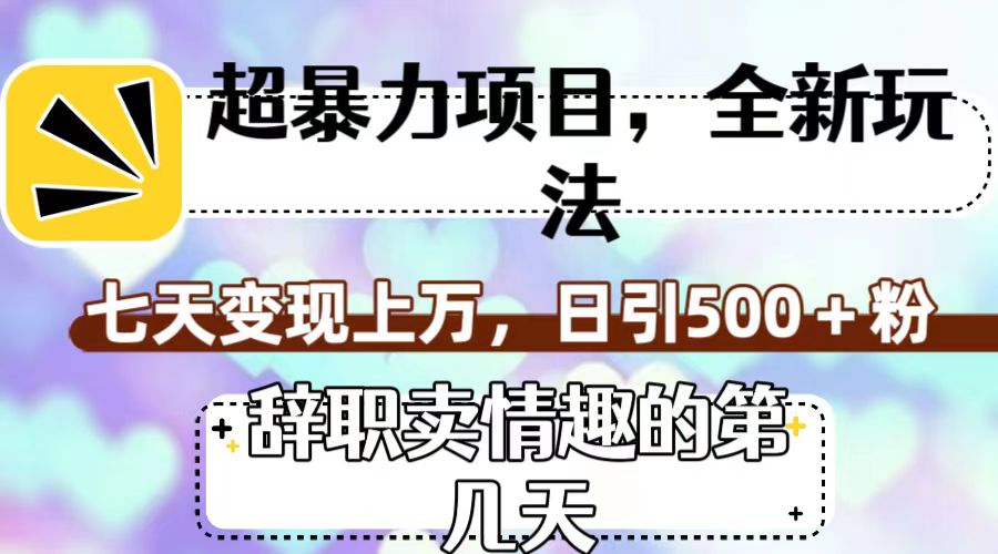 超暴利项目，全新玩法（辞职卖情趣的第几天），七天变现上万，日引500+粉-寒山客