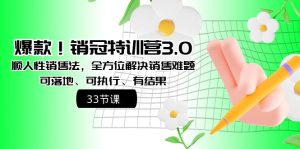 爆款!销冠特训营3.0之顺人性销售法,全方位解决销售难题、可落地-寒山客