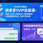 拼多多SVIP实操课-26年3月，截流卡大促+无痕涨价+无限群爆款+AI赋能爆单新玩法，带你打爆店铺