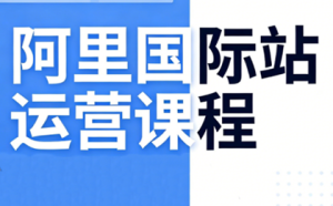 张国儒·阿里国际站运营课程(更新2026)
