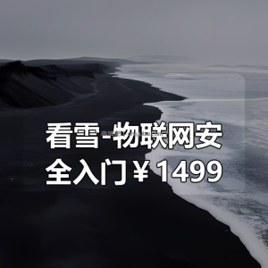 看雪-物联网安全入门￥1499