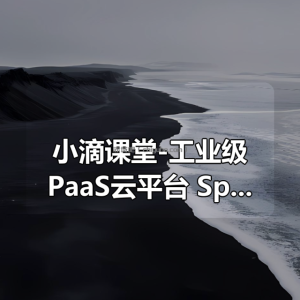 小滴课堂-工业级PaaS云平台+SpringCloudAlibaba+JDK11综合项目实战[完结]