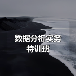数据分析实务特训班