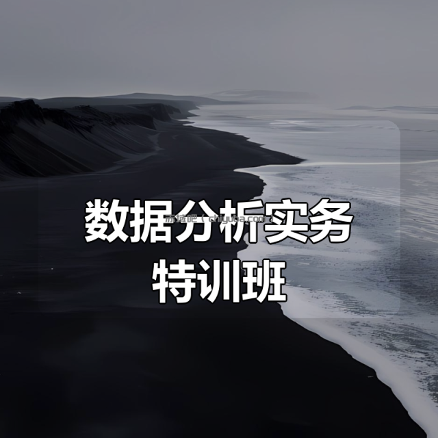 数据分析实务特训班