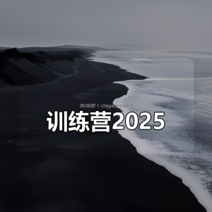 丁师兄大模型训练营2025|口碑超强