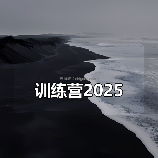 丁师兄大模型训练营2025|口碑超强