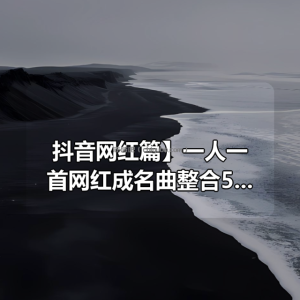 【抖音网红篇】一人一首网红成名曲整合500首无损歌曲每一首都曾是热搜榜神曲