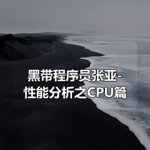 黑带程序员张亚-性能分析之CPU篇
