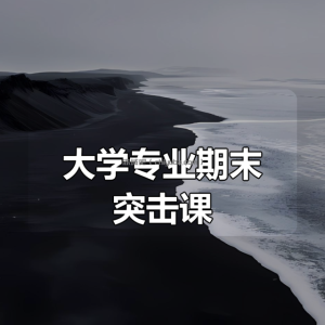 大学专业期末突击课
