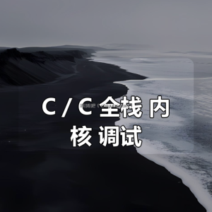 C／C++全栈 内核 调试(51hook软件安全课程合集)