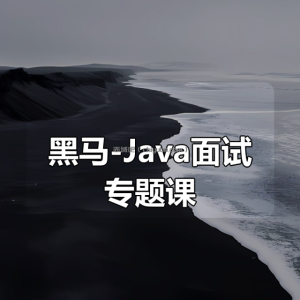 黑马-Java面试专题课(狂野架构师)