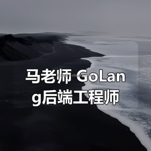 马老师 GoLang后端工程师