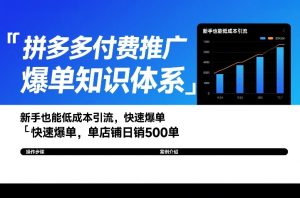 拼多多付费推广爆单知识体系，新手也能低成本引流，快速爆单，单店铺日销500单