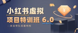 小红书虚拟项目特训课8.0，帮你从0到1打造稳定盈利的店铺，抓住流量红利(更新3月)