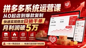 拼多多系统运营课(更新8月