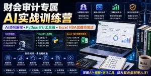 财会审计专属AI实战训练营｜AI协同编程+Python审计工具箱+Excel VBA加载项落地(更新0816)