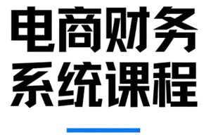 郑老师·电商财务系统课程