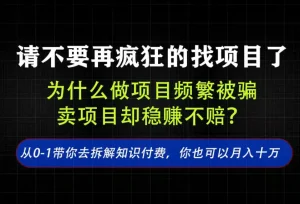 找项目？别傻了！卖项目才是真的一本万利！看完你全都懂了【揭秘】