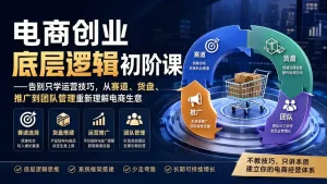 电商创业底层逻辑初阶课——告别只学运营技巧，从赛道、货盘、推广到团队管理重新理解电商生意