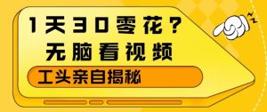 1天30零花？无脑看视频，大佬亲自揭秘