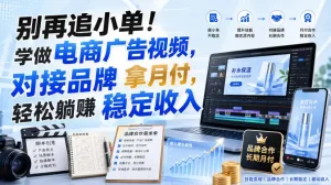 别再追小单！学做电商广告视频，对接品牌拿月付，轻松躺賺稳定收入【原创双语字幕】