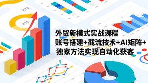 外贸新模式实战课程-更新2月，账号搭建+截流技术+AI矩阵+独家方法实现自动化获客