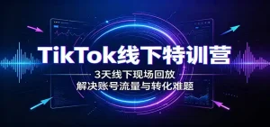 TikTok线下特训营：3天线下现场回放，解决账号流量与转化难题