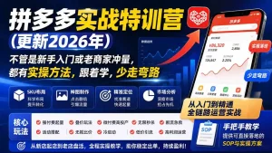 拼多多实战特训营(更新26年0827