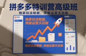 拼多多特训营高阶班，独家玩法赋能，突破运营天花板(更新260819)