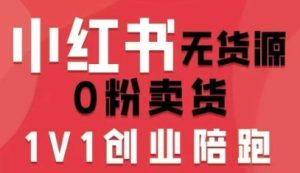 小红书无货源0粉电商课，开店准备、选品策略、笔记撰写、视频剪辑、数据分析、账号打造、资料文档(更新26年3月)