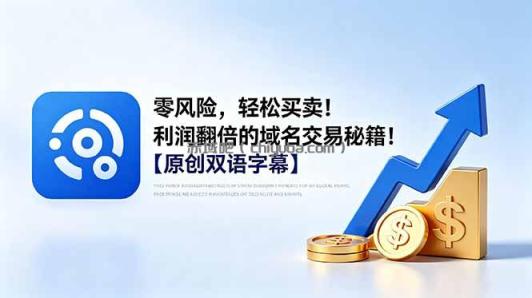 零风险，轻松买卖！利润翻倍的域名交易秘籍！【原创双语字幕】