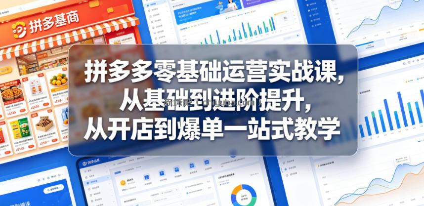 拼多多零基础运营实战课，从基础到进阶提升，从开店到爆单一站式教学