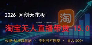 2026网创天花板，淘宝无人直播带货15.0，公域+私域双玩法，日入1k+，不违规不封号【揭秘】