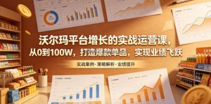 沃尔玛平台增长的实战运营课，从0到100W，打造爆款单品，实现业绩飞跃