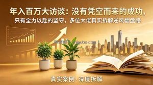 年入百万大访谈-更新：没有凭空而来的成功，只有全力以赴的坚守，多位大佬真实拆解逆风翻盘路