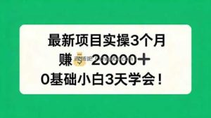 最新项目实操3个月，赚钱20000+，0基础小白3天学会！