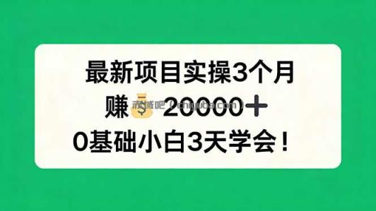 最新项目实操3个月，赚钱20000+，0基础小白3天学会！