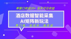 2026酒店数据采集ai智能矩阵新风口 低成本 高收益 当天见收益 单窗口20+
