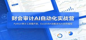 财会审计AI自动化实战营：Python审计工具箱开发，ExcelVBA加载项与AI协同编程