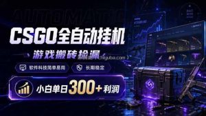 CSGO全自动挂机，游戏搬砖捡漏，软件科技简单易用，长期稳定，小白单日300+利润